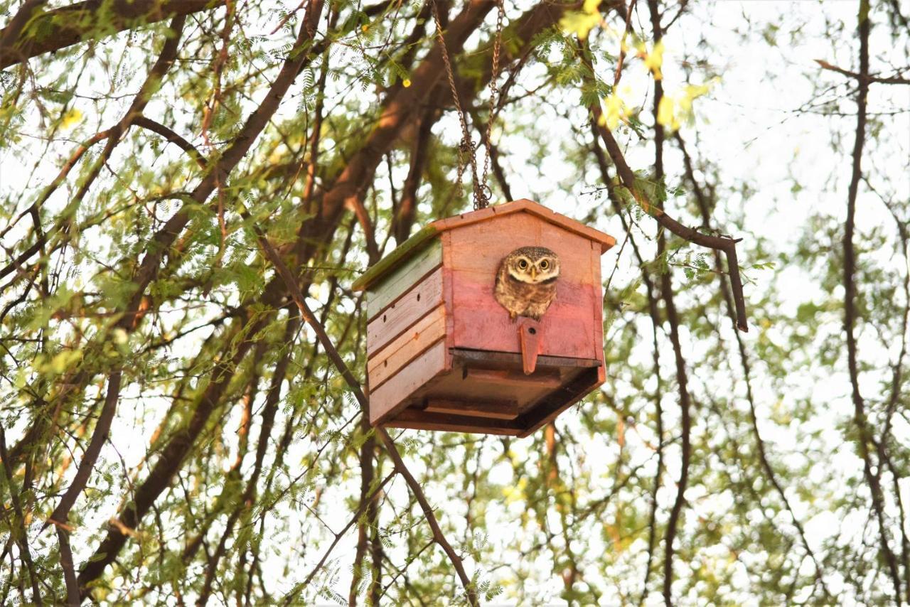 Ranthambhore Bagh Dwar Camp Khilchipur  Экстерьер фото